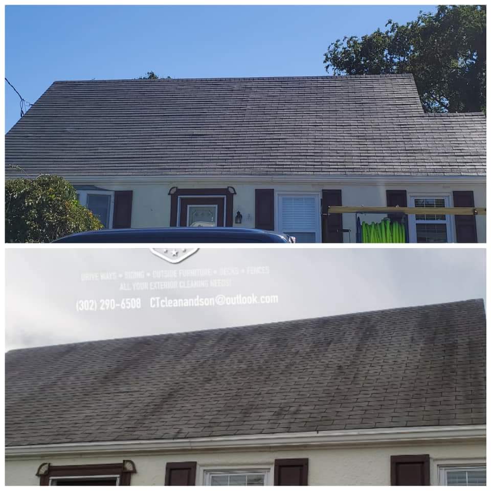 Roof Cleaning